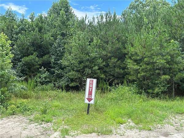 10.9 Acres of Land for Sale in Chattahoochee Hills, Georgia
