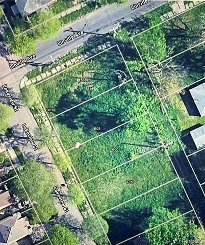 0.09 Acres of Residential Land for Sale in Detroit, Michigan