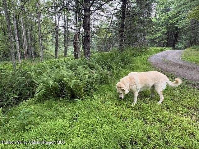 2 Acres of Residential Land for Sale in Accord, New York