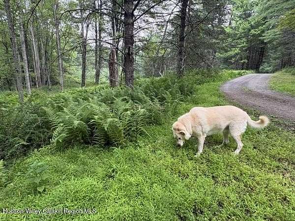 2 Acres of Residential Land for Sale in Accord, New York