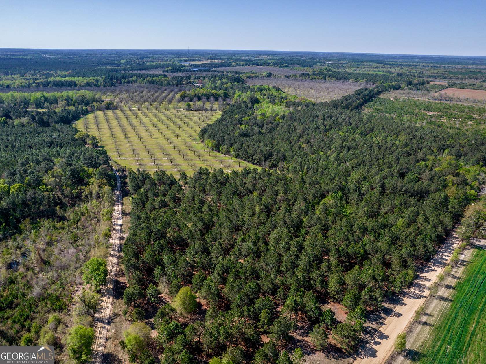 45.6 Acres of Recreational Land for Sale in Cobbtown, Georgia
