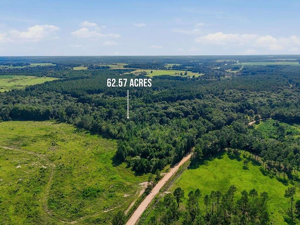 62.6 Acres of Recreational Land for Sale in Ashburn, Georgia