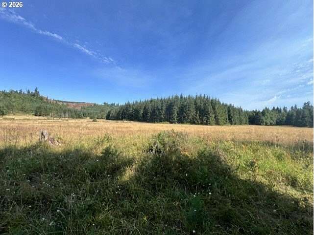 336 Acres of Recreational & Residential Land for Sale in Vernonia, Oregon