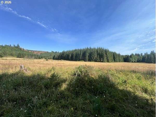 336 Acres of Recreational & Residential Land for Sale in Vernonia, Oregon