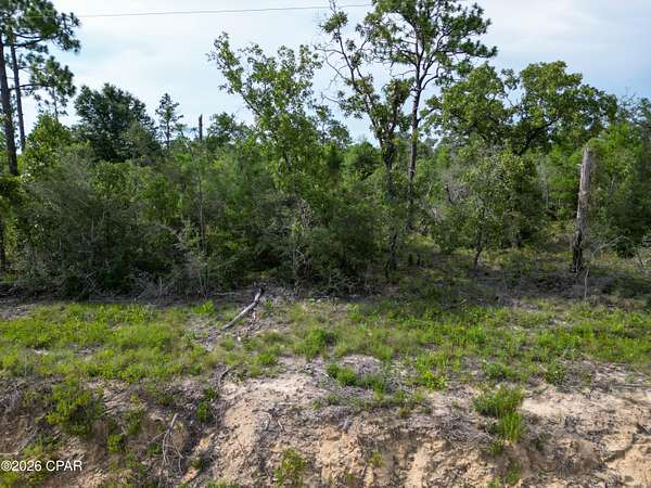 5 Acres of Residential Land for Sale in Chipley, Florida