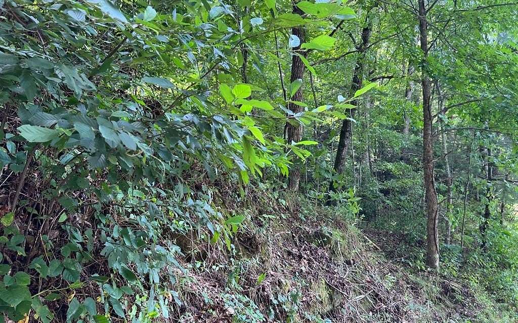 4.22 Acres of Land for Sale in Hayesville, North Carolina