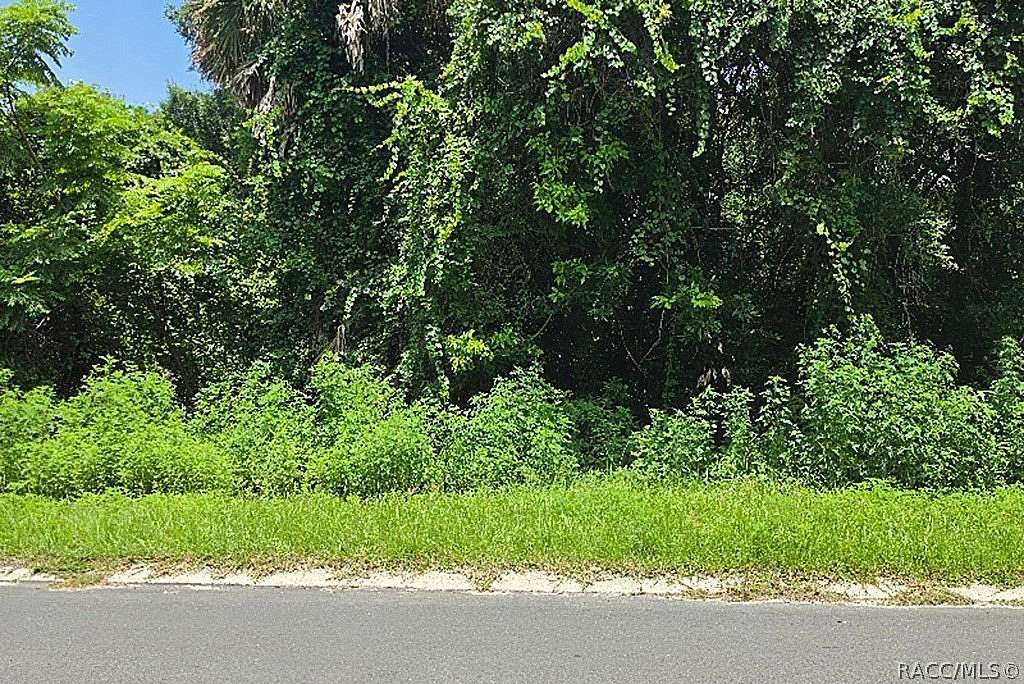 0.22 Acres of Residential Land for Sale in Inverness, Florida