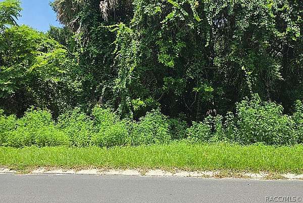 0.22 Acres of Residential Land for Sale in Inverness, Florida
