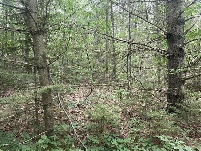 2 Acres of Land for Sale in Indian River, Michigan