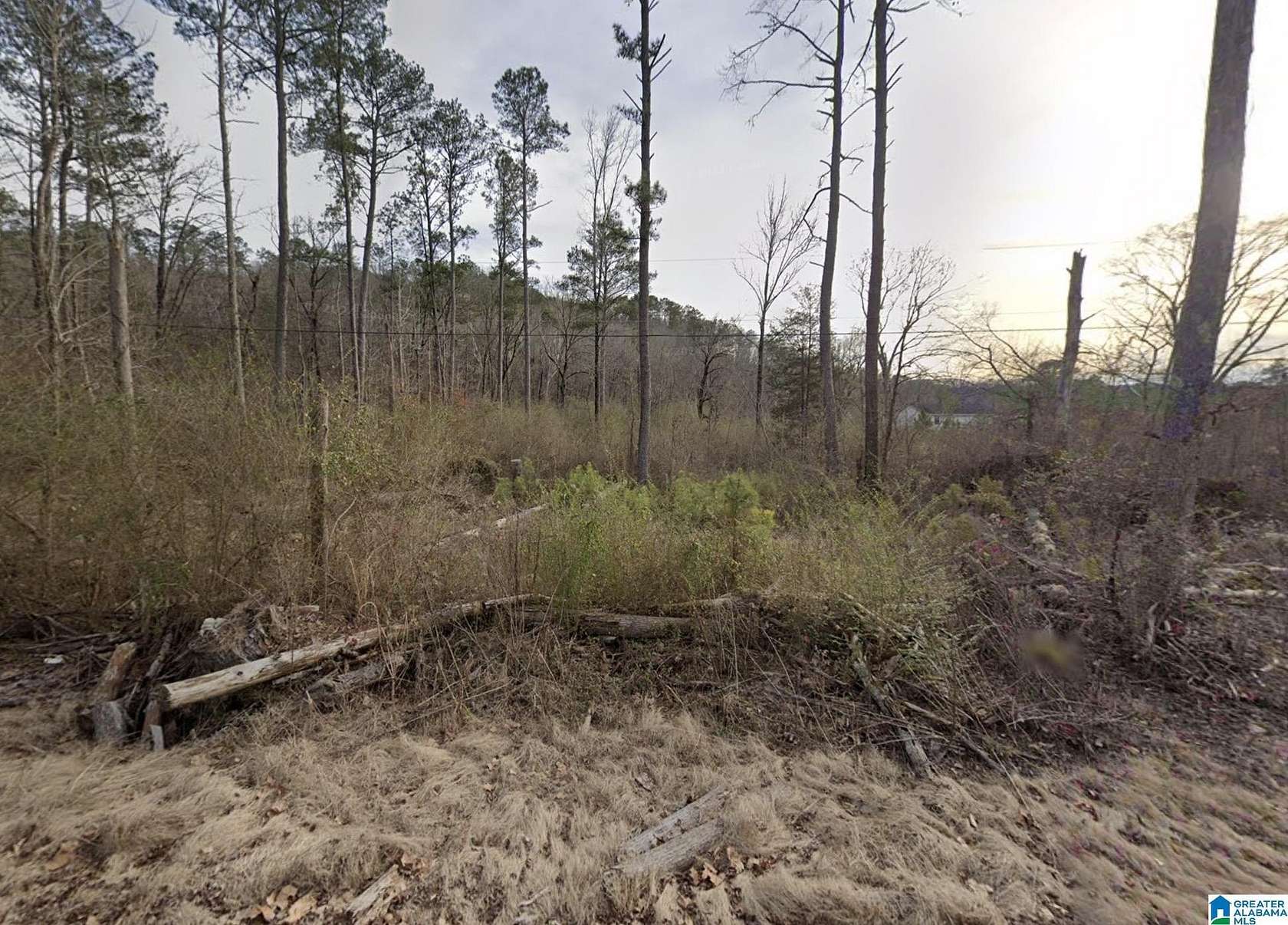 5.4 Acres of Land for Sale in Quinton, Alabama