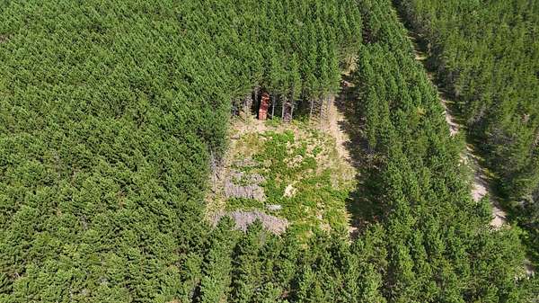 6 Acres of Residential Land for Sale in Tomahawk, Wisconsin