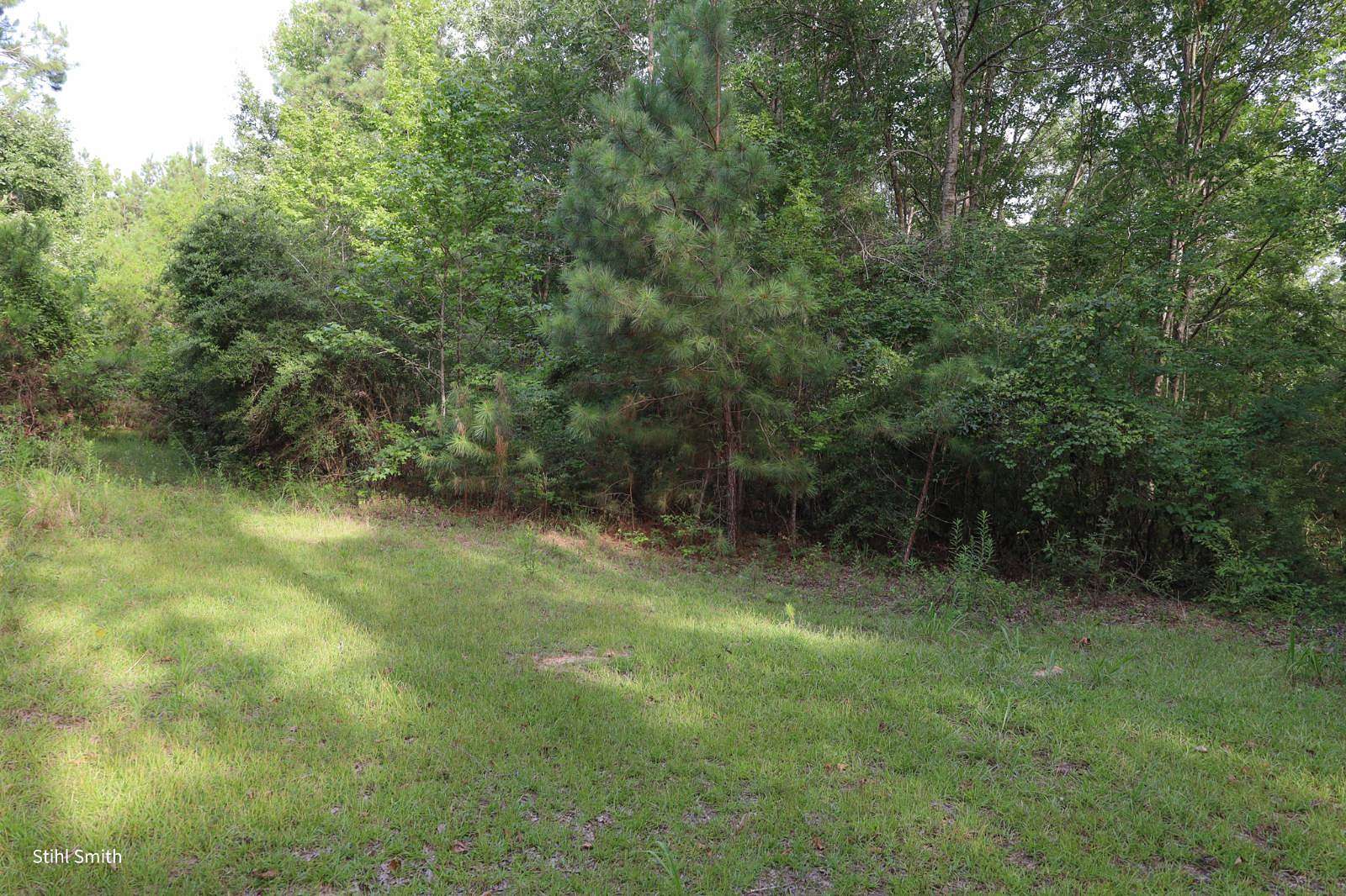 40 Acres of Recreational Land for Sale in Okaloosa, Louisiana