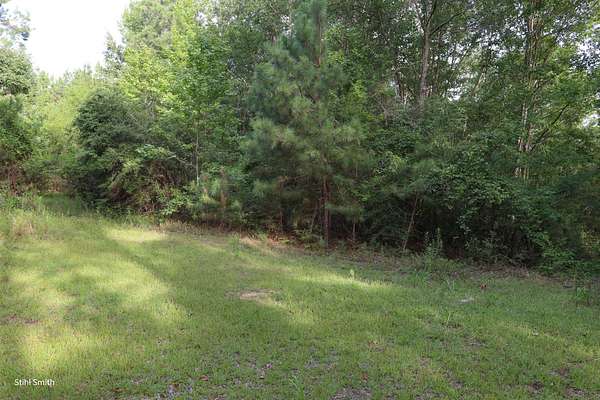 40 Acres of Recreational Land for Sale in Okaloosa, Louisiana
