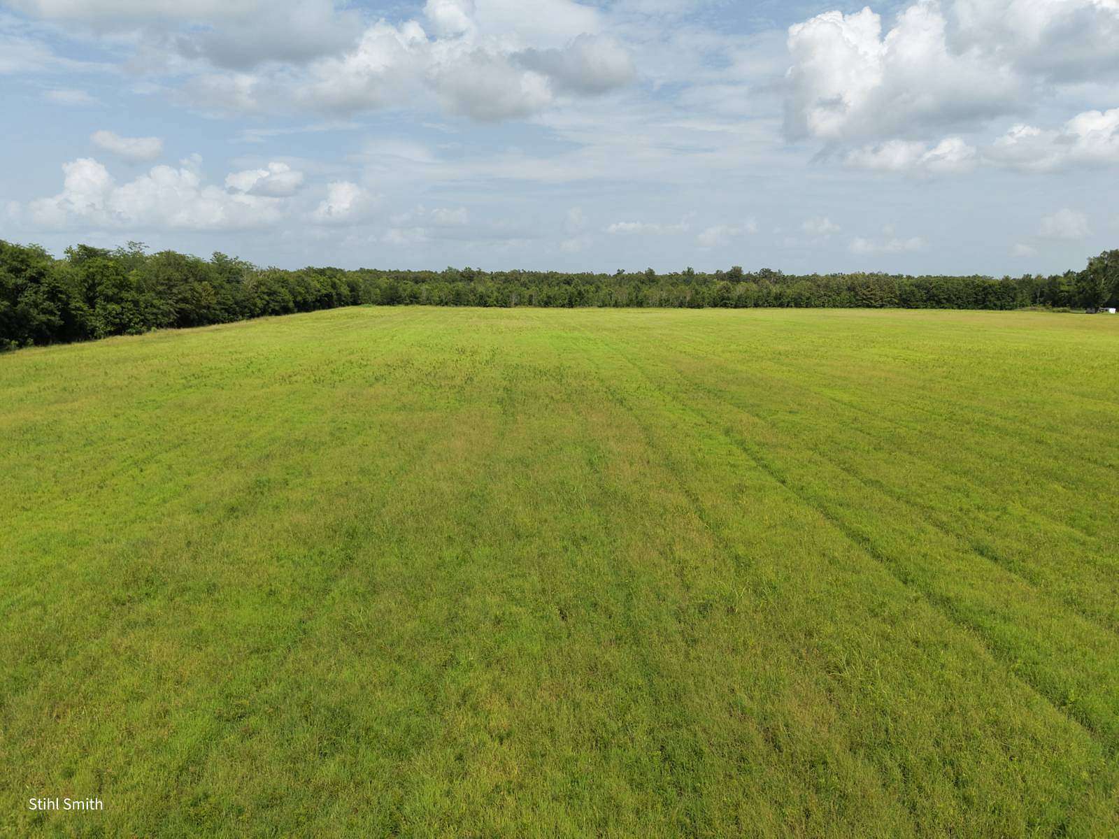 50 Acres of Land for Sale in Columbia, Louisiana