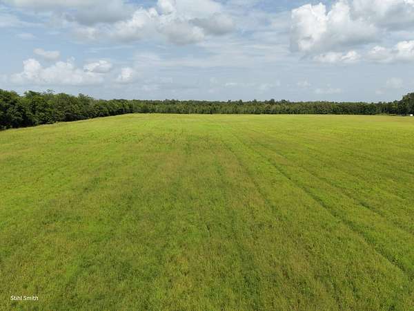 50 Acres of Land for Sale in Columbia, Louisiana