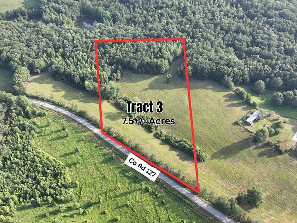 7.5 Acres of Land for Auction in Roanoke, Alabama