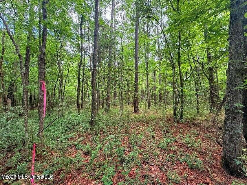 4.75 Acres of Residential Land for Sale in Smithdale, Mississippi