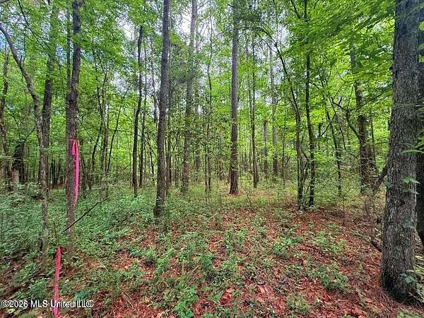4.75 Acres of Residential Land for Sale in Smithdale, Mississippi