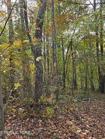1.53 Acres of Residential Land for Sale in Mascot, Tennessee