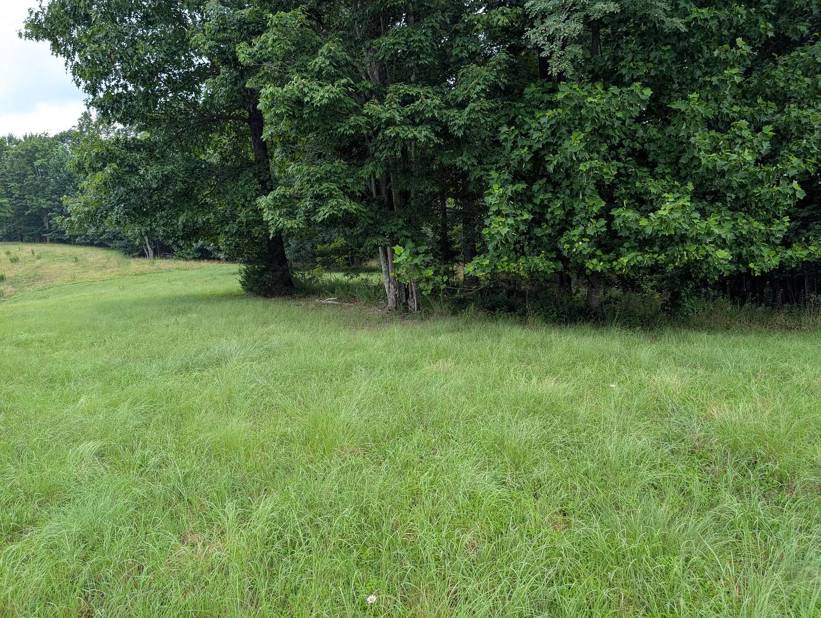 6.63 Acres of Residential Land for Sale in South Pittsburg, Tennessee