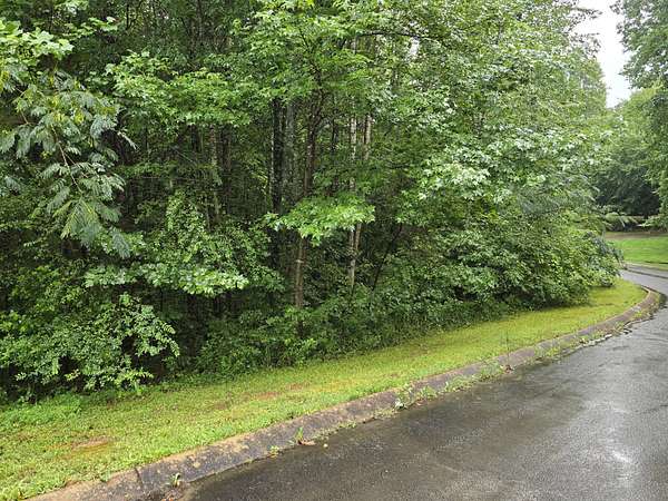 0.31 Acres of Residential Land for Sale in Dunlap, Tennessee