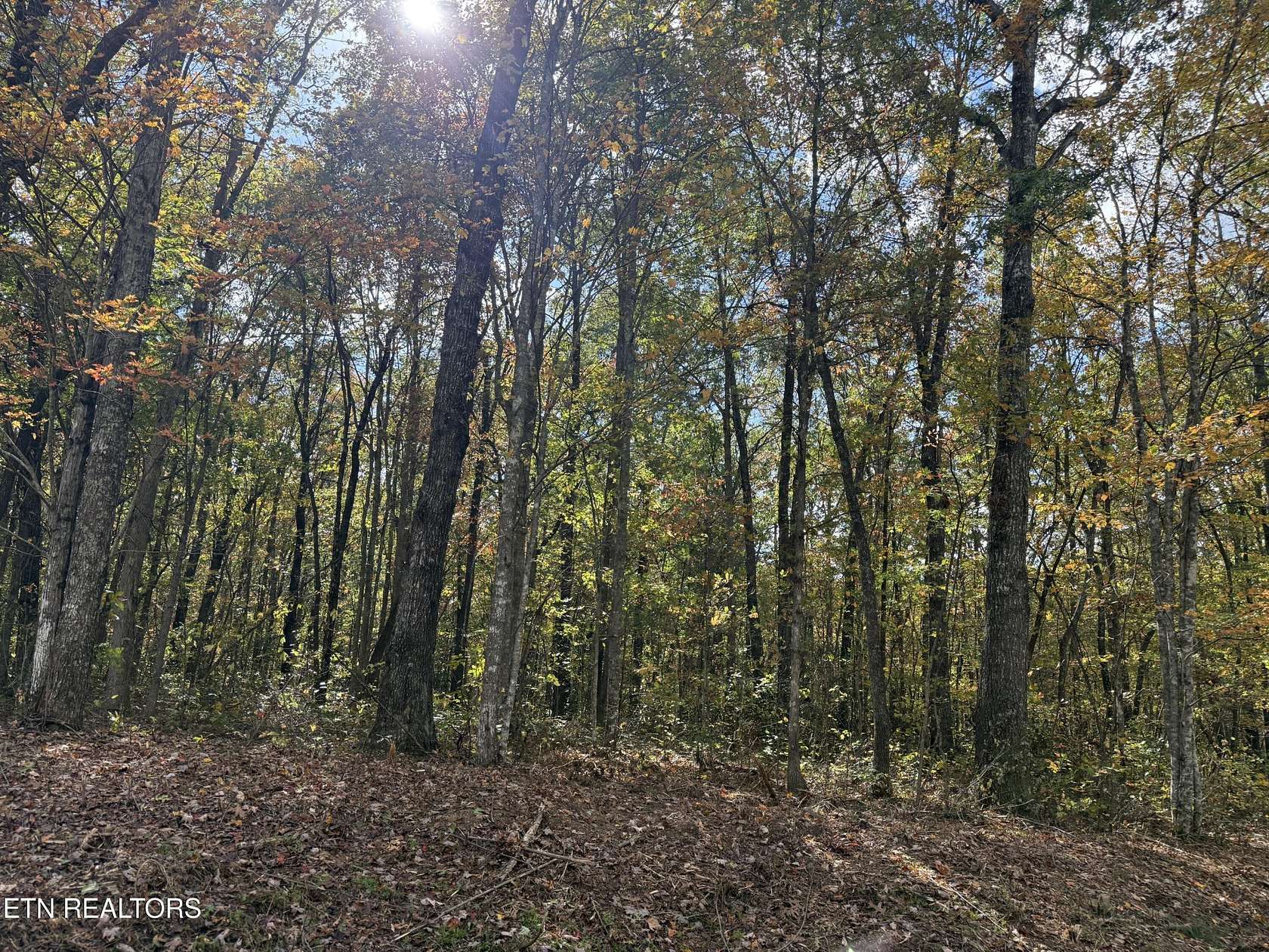 8.1 Acres of Land for Sale in Jamestown, Tennessee