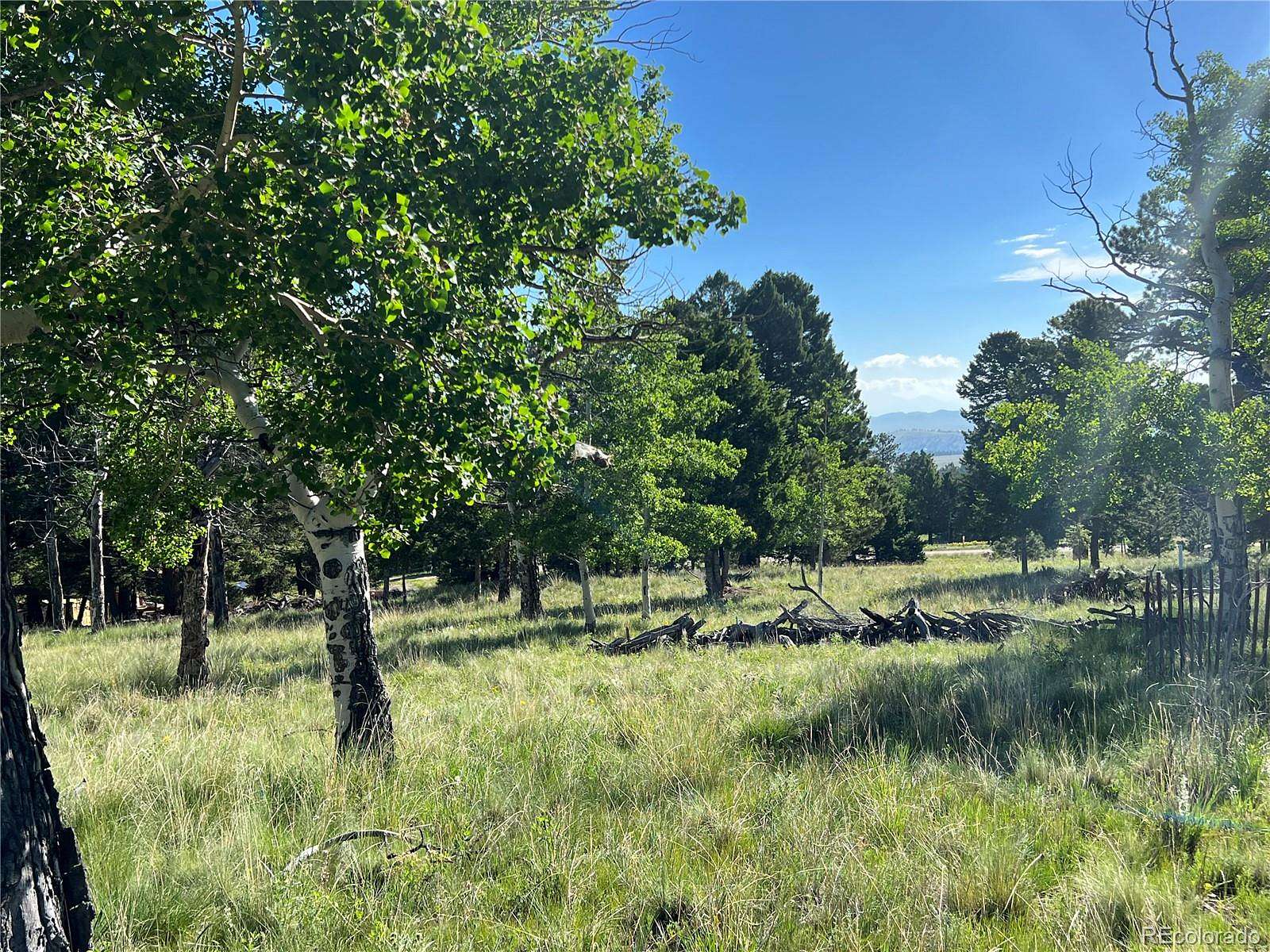 2.5 Acres of Residential Land for Sale in Hartsel, Colorado