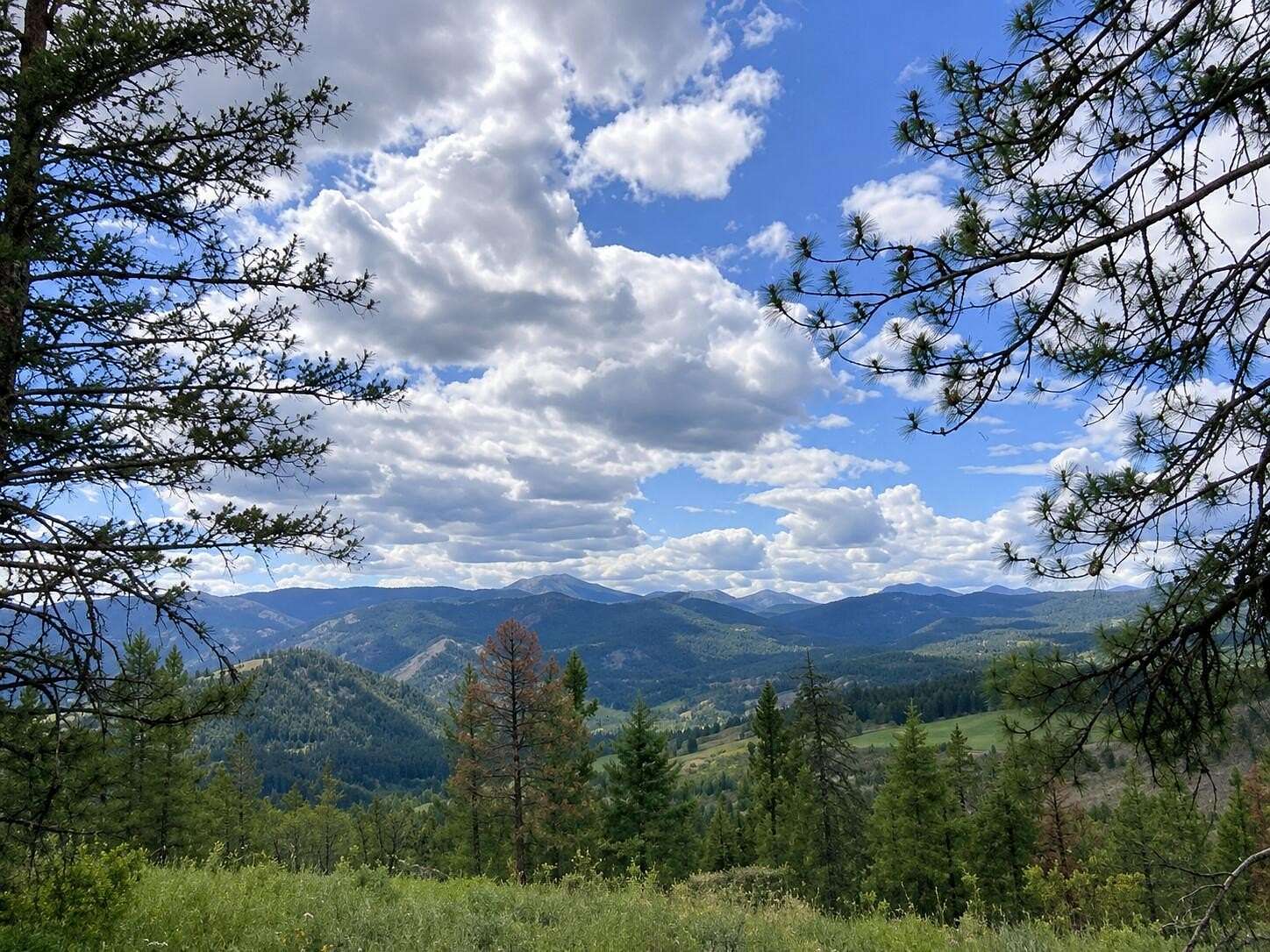 40 Acres of Recreational Land for Sale in Kettle Falls, Washington