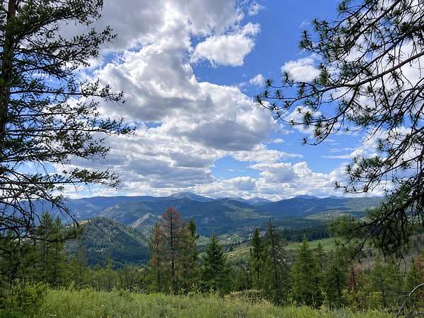 40 Acres of Recreational Land for Sale in Kettle Falls, Washington