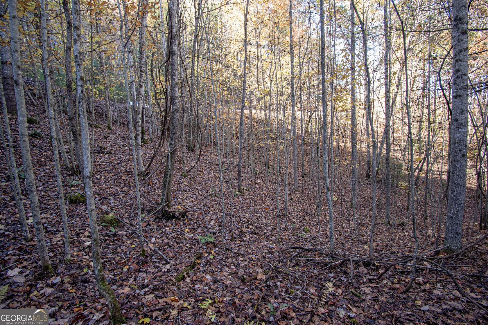 1.38 Acres of Land for Sale in Murphy, North Carolina