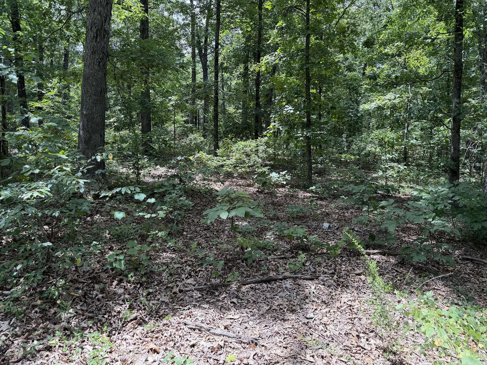 41.6 Acres of Recreational & Residential Land for Sale in Cape Fair, Missouri