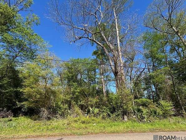 15.6 Acres of Land for Sale in Livingston, Louisiana