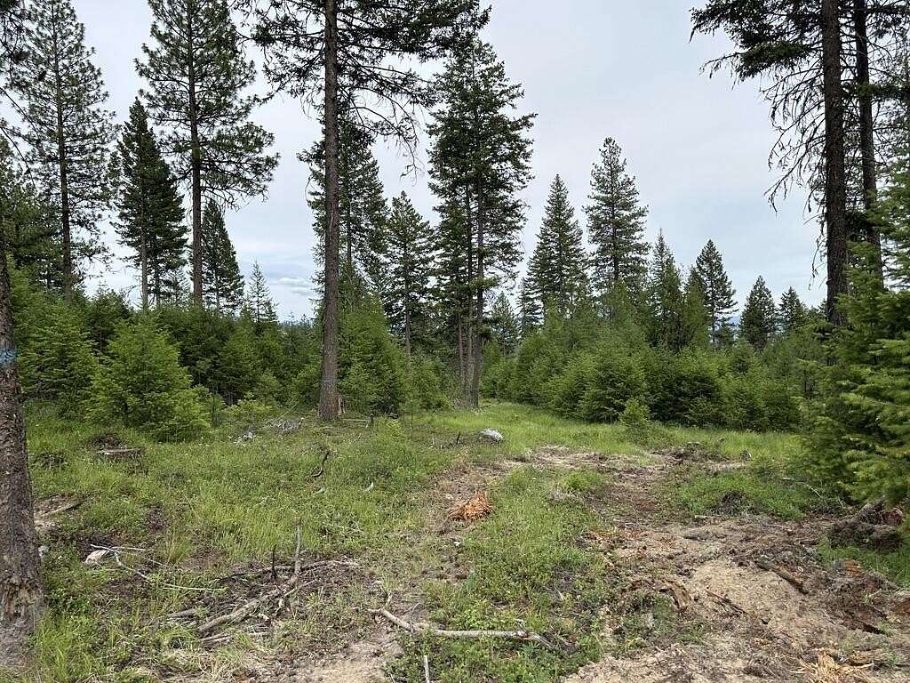 3.42 Acres of Land for Sale in Republic, Washington