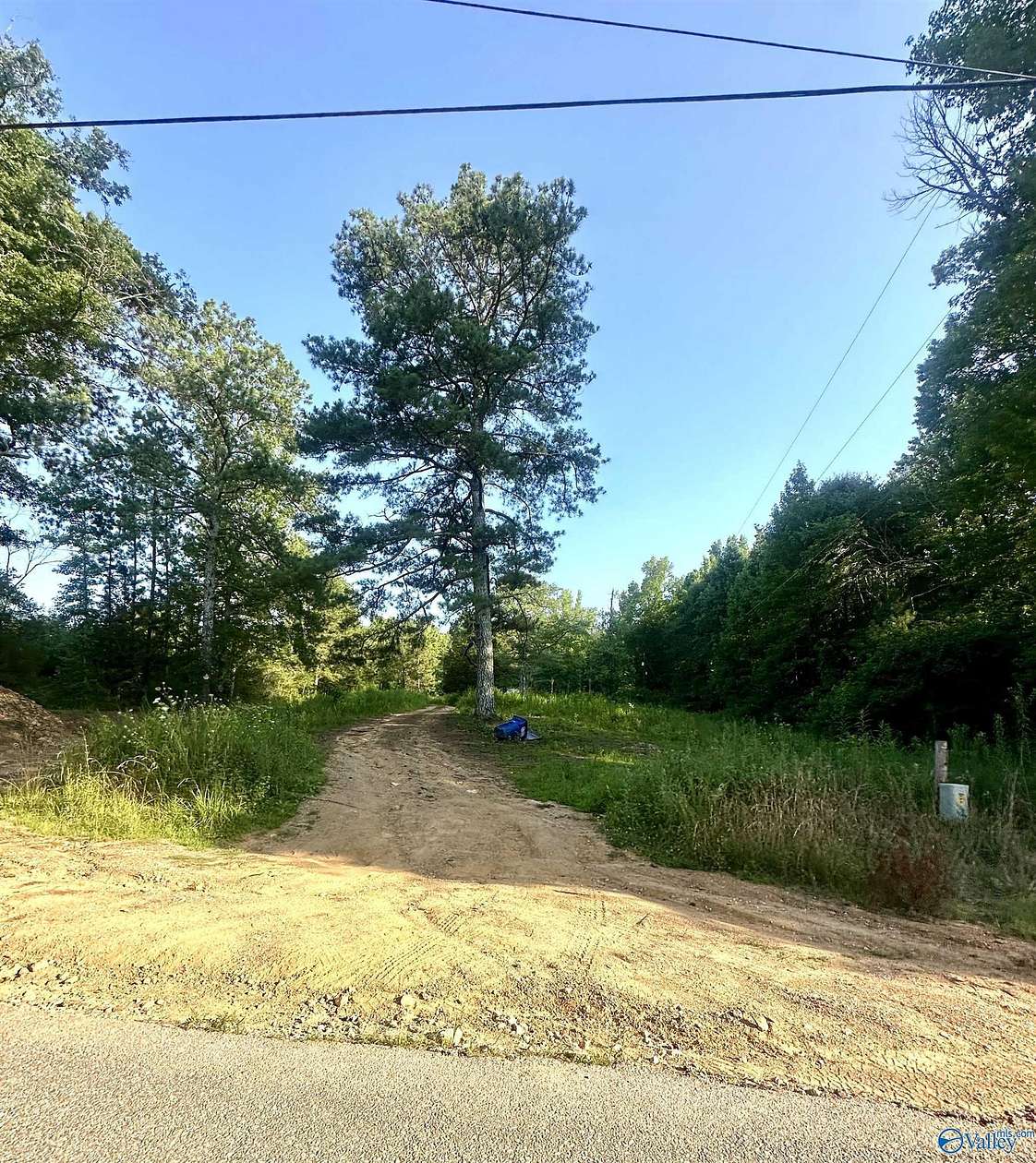 5 Acres of Residential Land for Sale in Altoona, Alabama