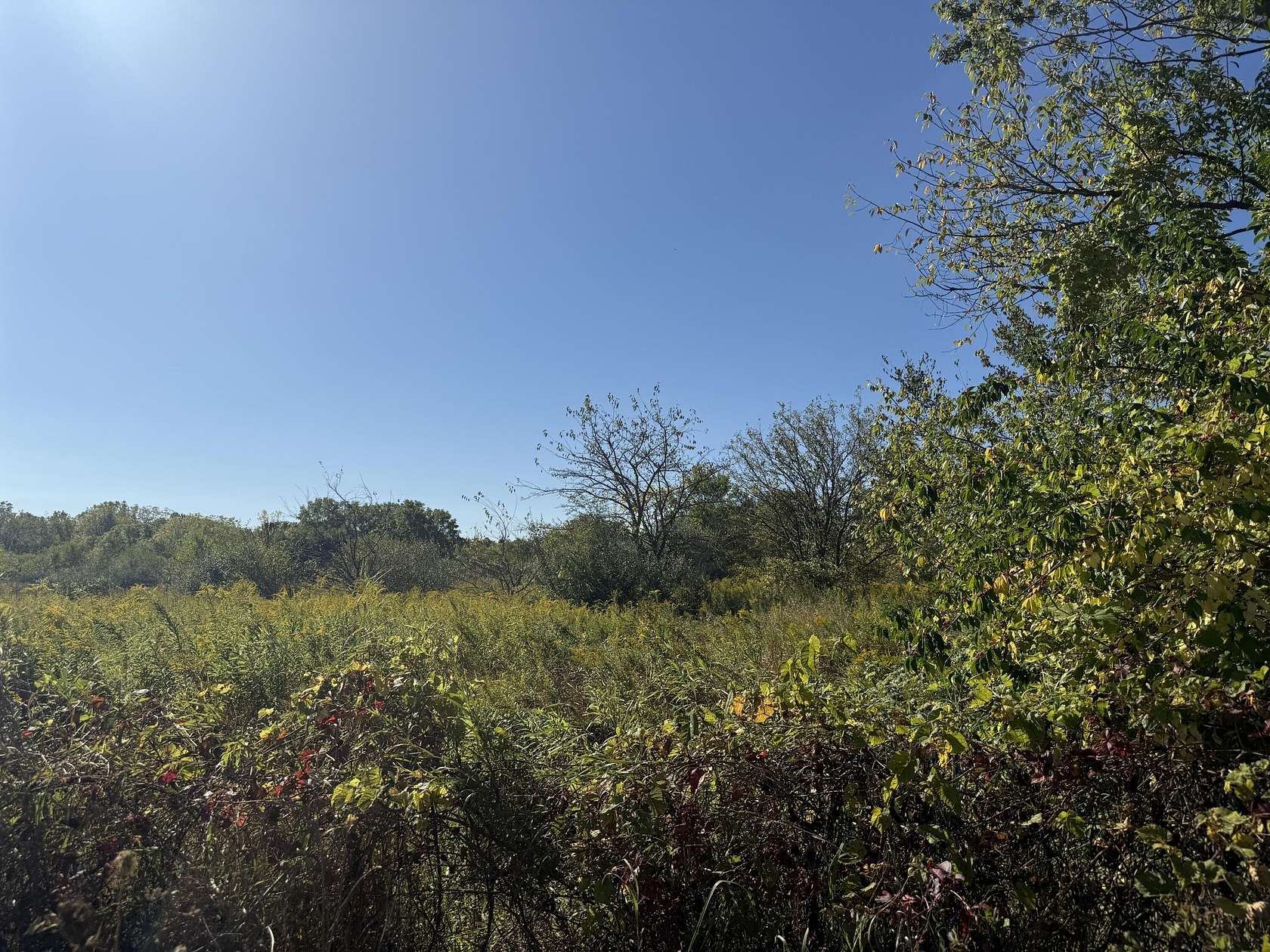 7 Acres of Residential Land for Sale in Saline, Michigan