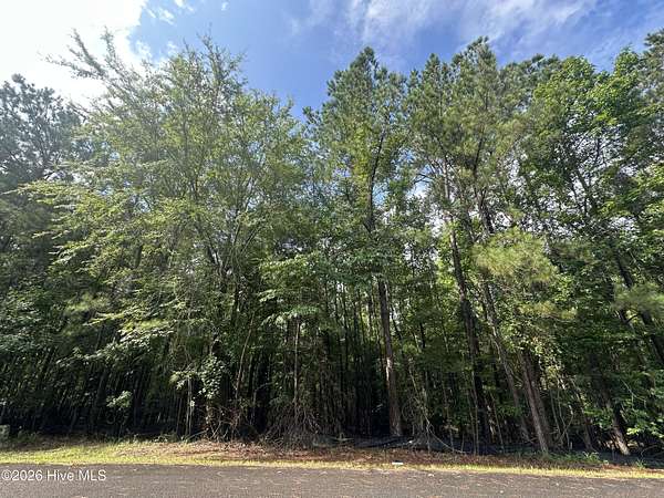 0.58 Acres of Residential Land for Sale in McCormick, South Carolina