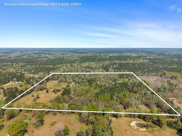 40 Acres of Land for Sale in Poplarville, Mississippi