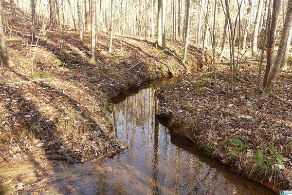 3 Acres of Residential Land for Sale in Delta, Alabama