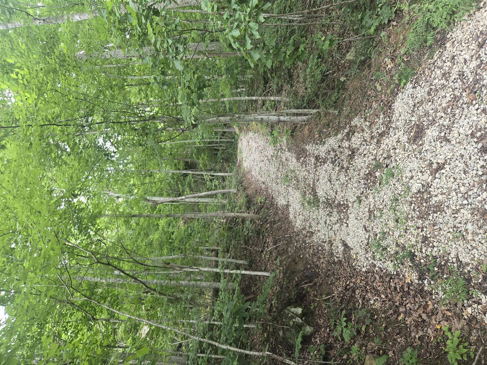 0.77 Acres of Land for Sale in Stanton, Kentucky