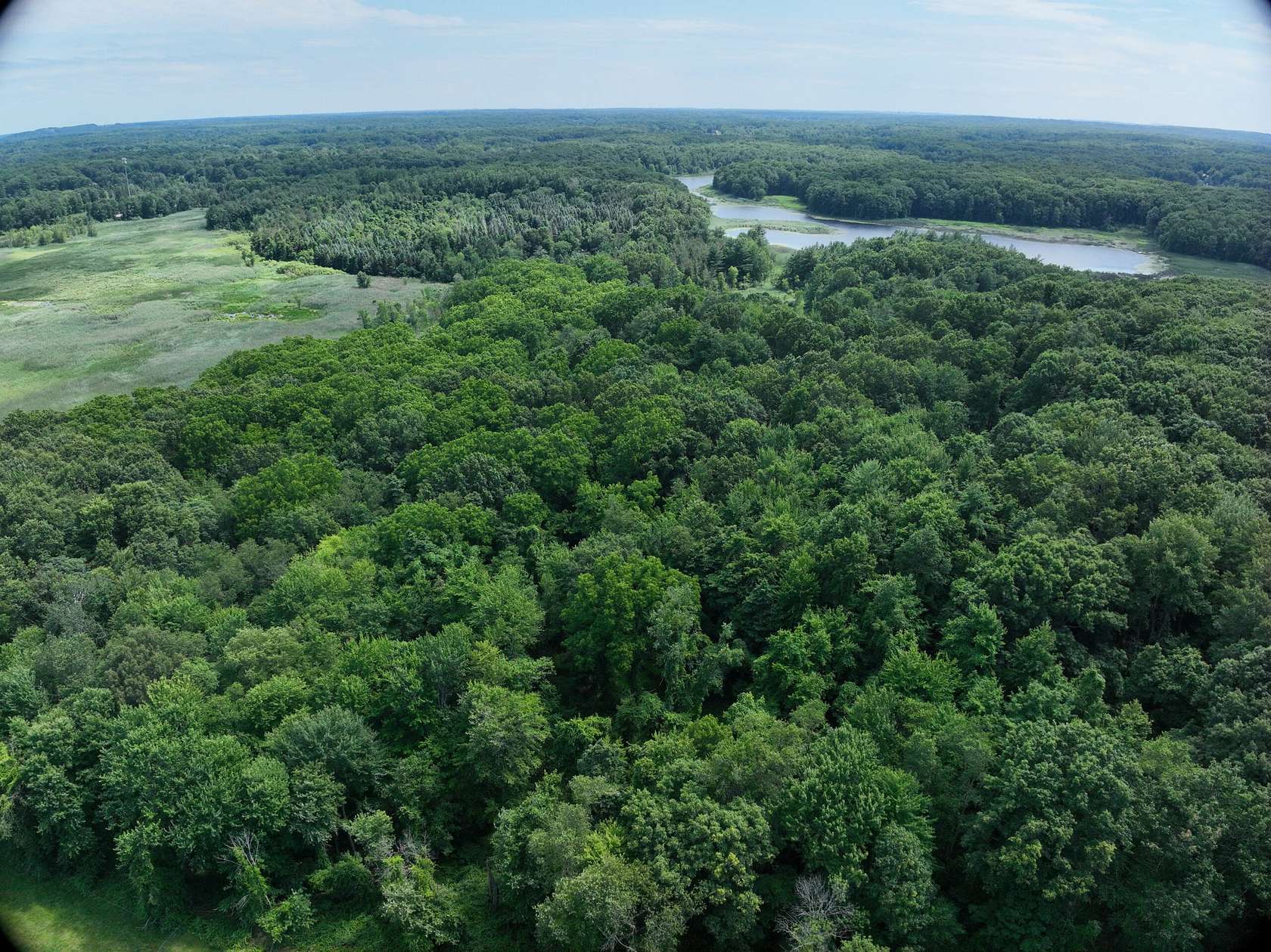 80 Acres of Recreational Land for Sale in Dryden, Michigan