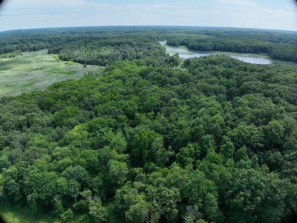 80 Acres of Recreational Land for Sale in Dryden, Michigan