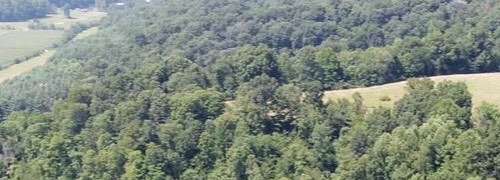 20 Acres of Recreational Land for Sale in Tell City, Indiana