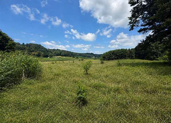 20 Acres of Recreational Land for Sale in Tell City, Indiana
