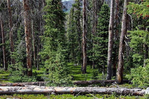 5.7 Acres of Residential Land for Sale in Fort Garland, Colorado