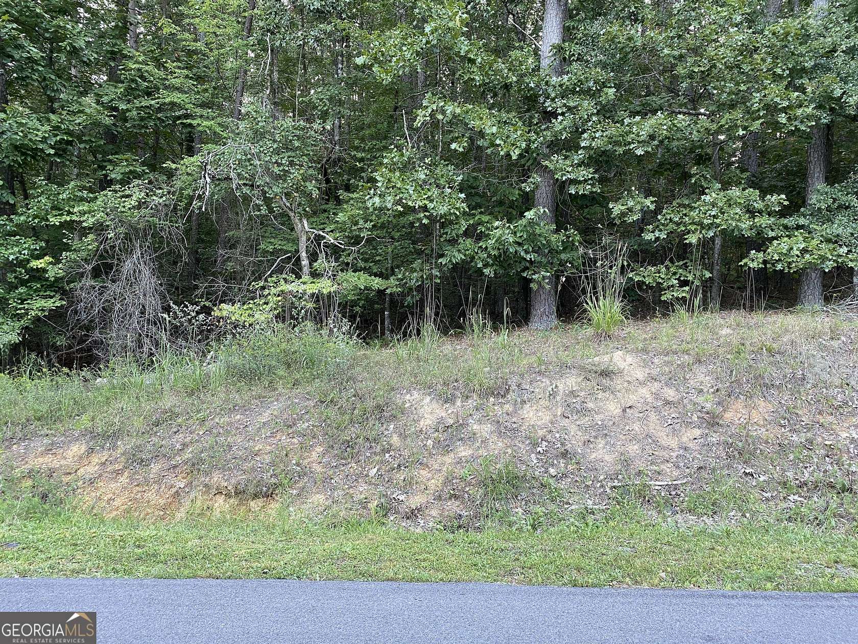 1.45 Acres of Land for Sale in Silver Creek, Georgia