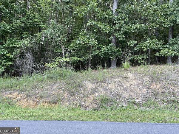 1.45 Acres of Land for Sale in Silver Creek, Georgia