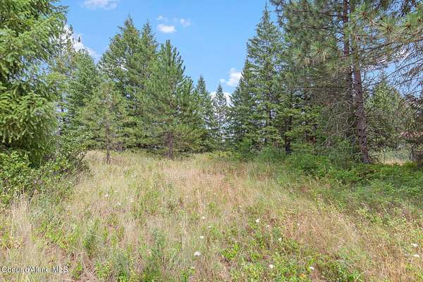 4.4 Acres of Residential Land for Sale in Athol, Idaho