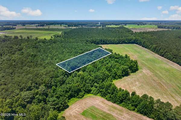1 Acre of Residential Land for Sale in Clarkton, North Carolina