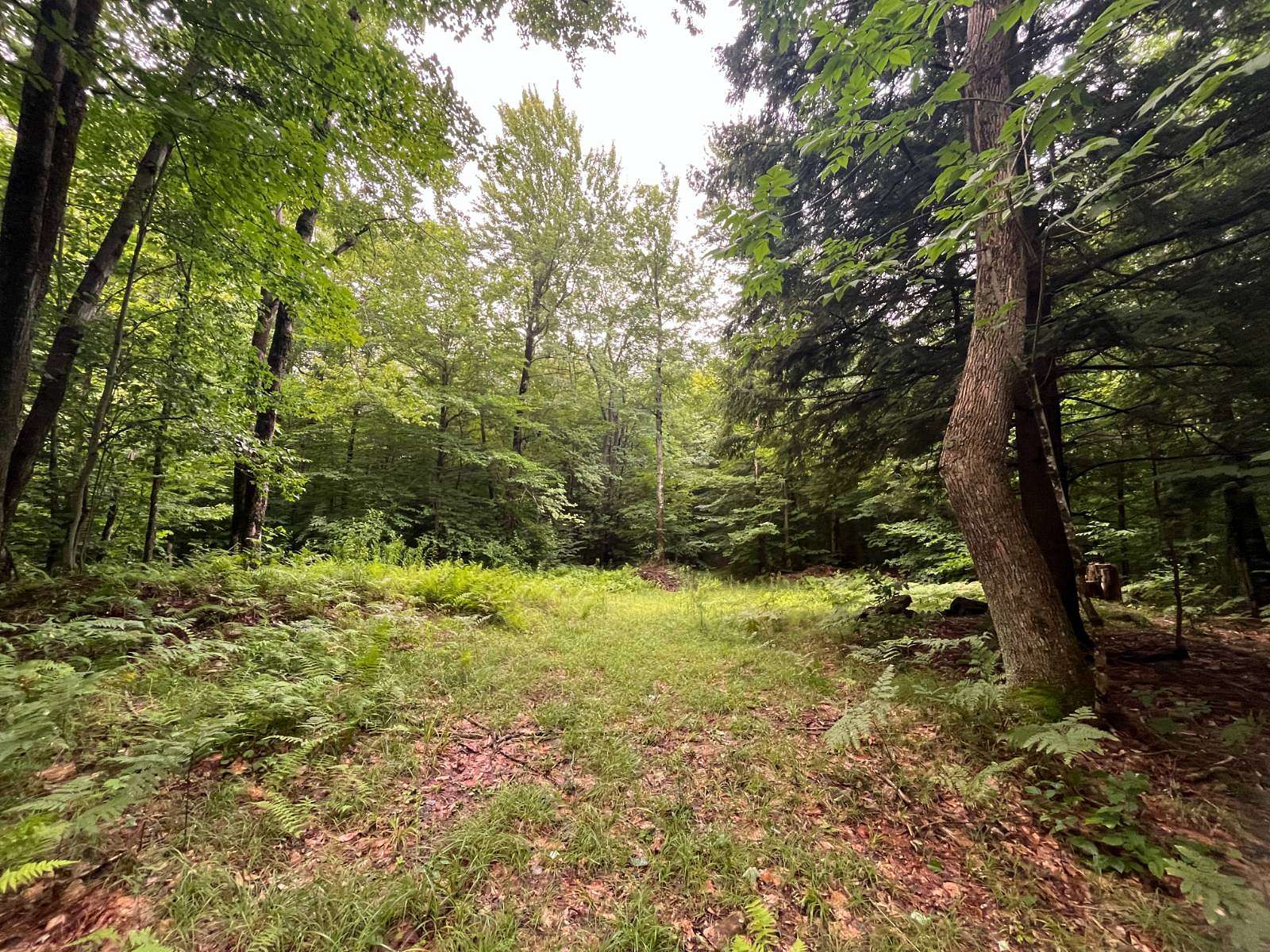 4.79 Acres of Residential Land for Sale in Russell, New York