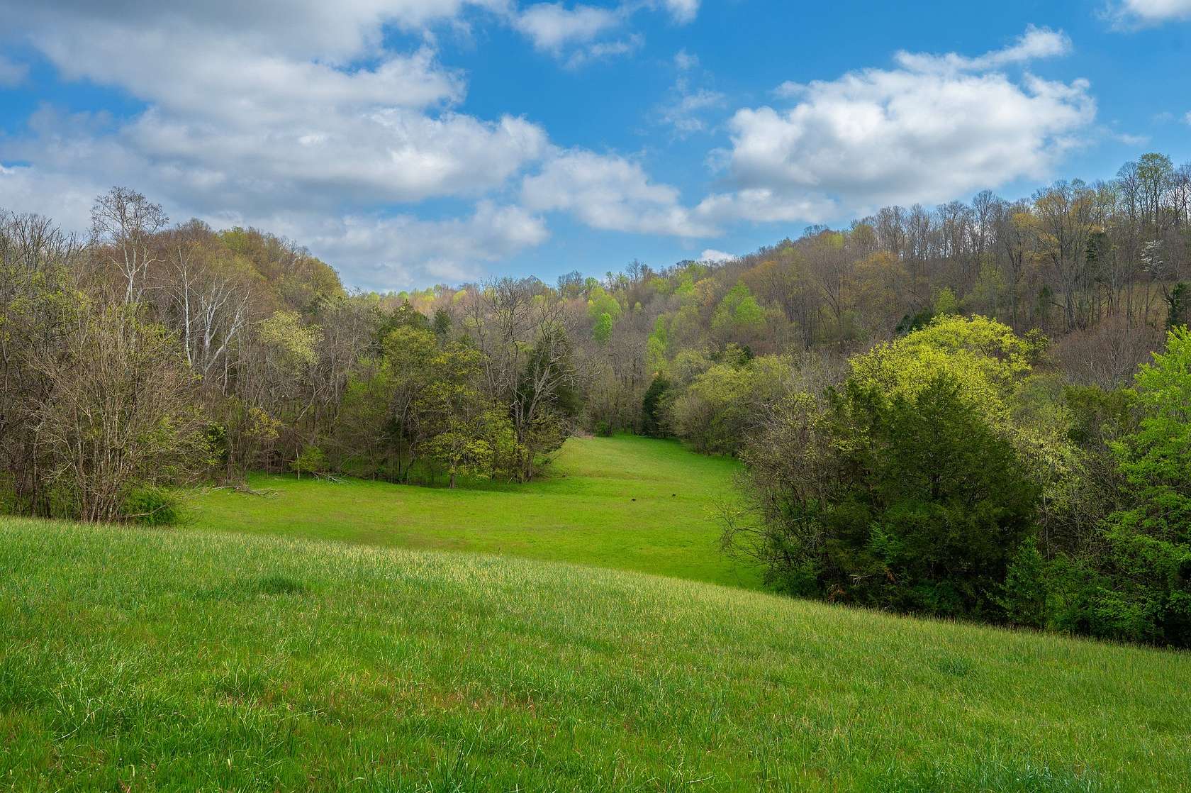 84.6 Acres of Land for Sale in Lynnville, Tennessee